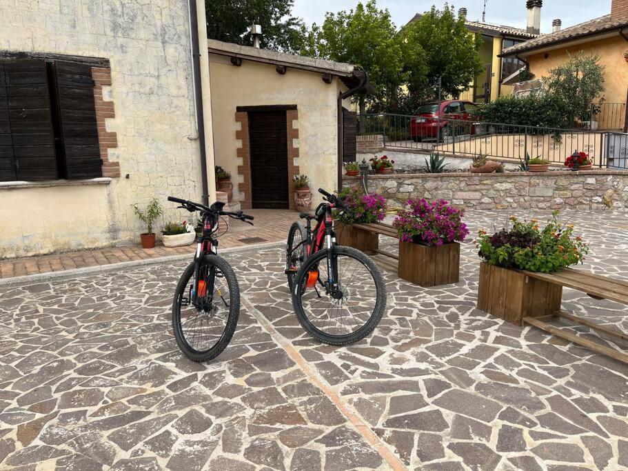 Casa Vacanze Vecchio Frantoio Residenza Leccino Сполето Экстерьер фото